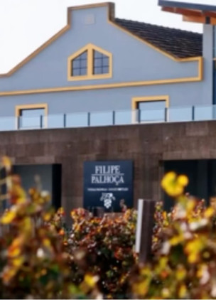 Wineries Near Lisbon Filipe Palhoça Vinhos