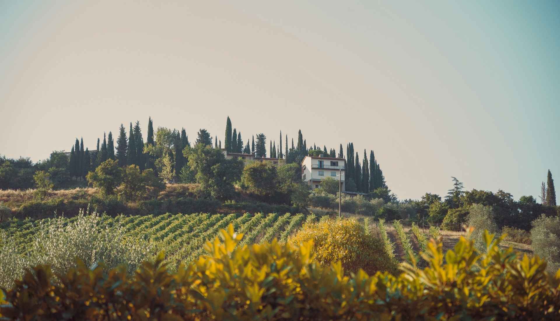 hotels-in-chianti-2