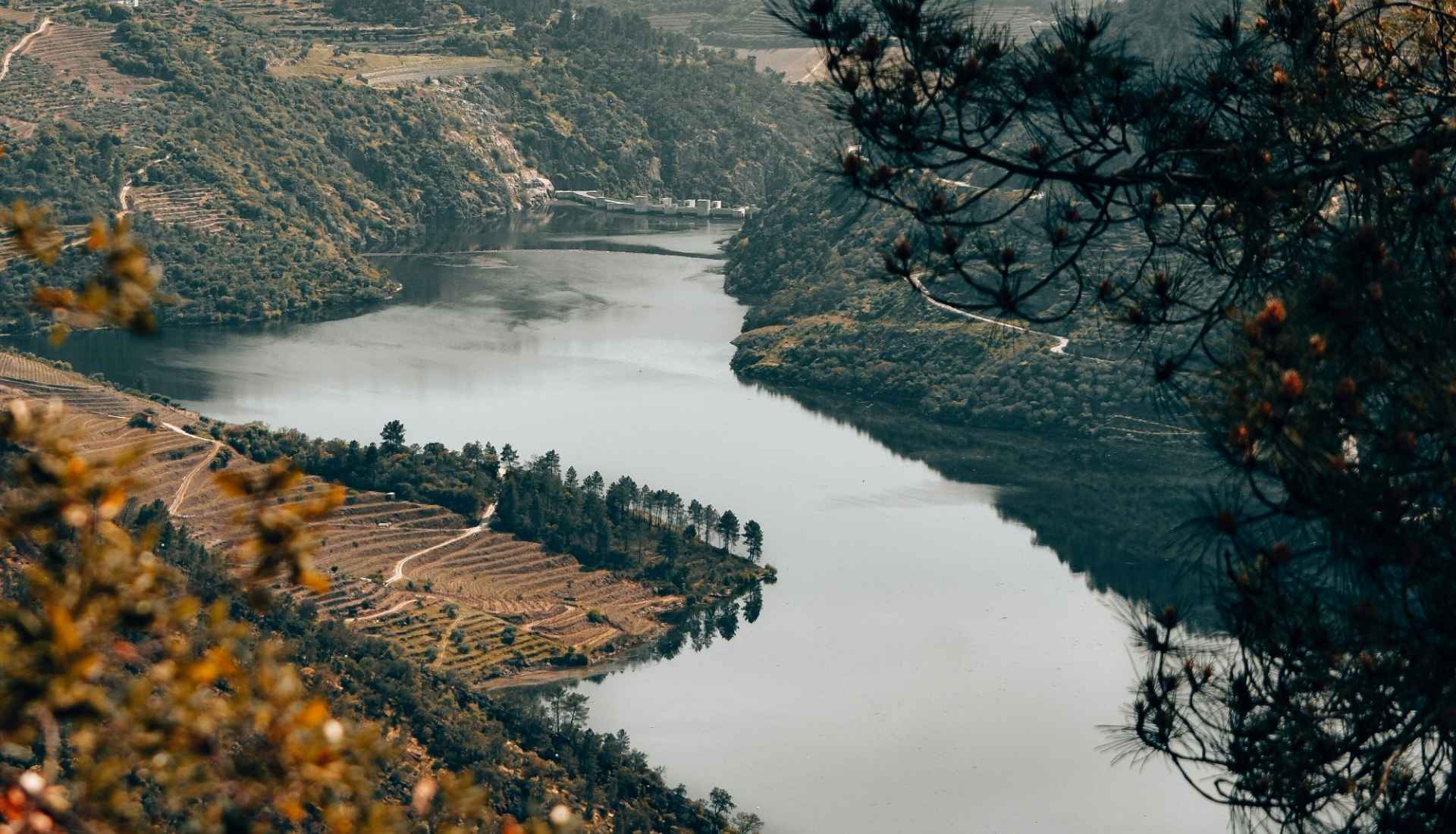 hotels-in-douro-valley-01