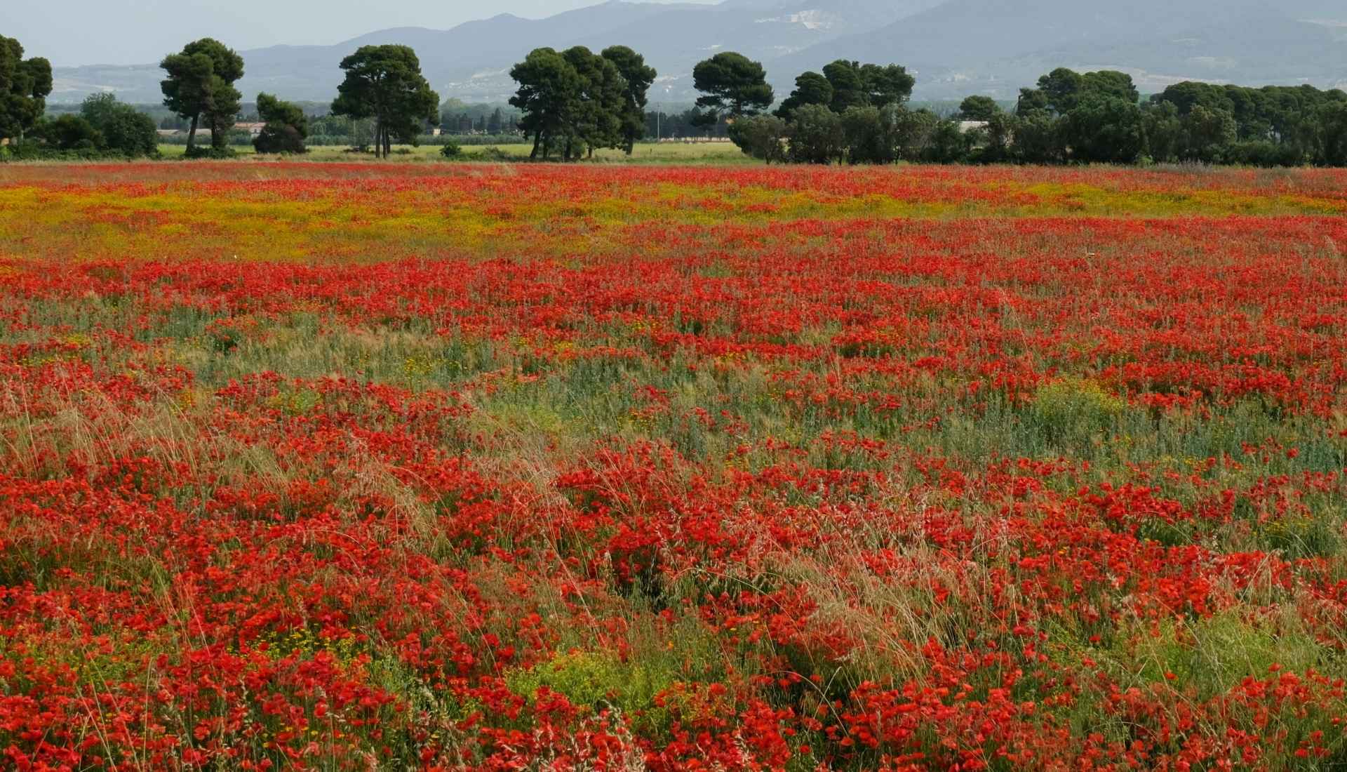 hotels-in-tuscany-02