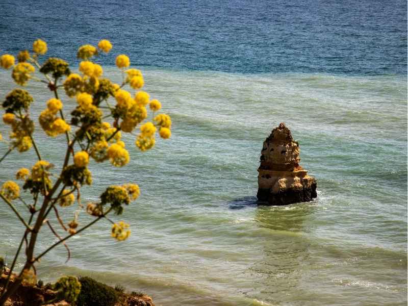 spa-hotels-algarve-01