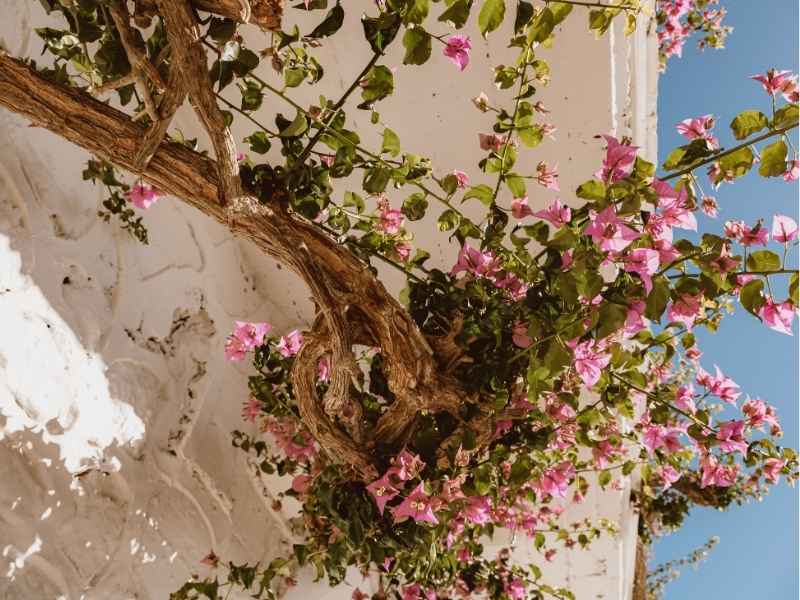 spa-hotels-crete-01
