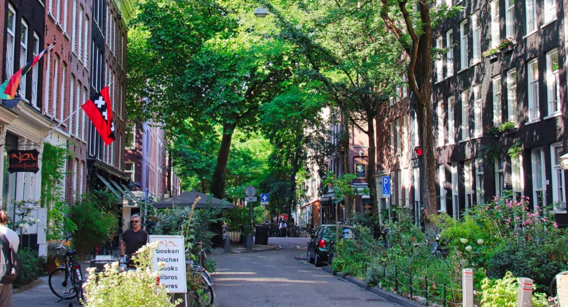 Amsterdam De Pijp Frans Halstraat